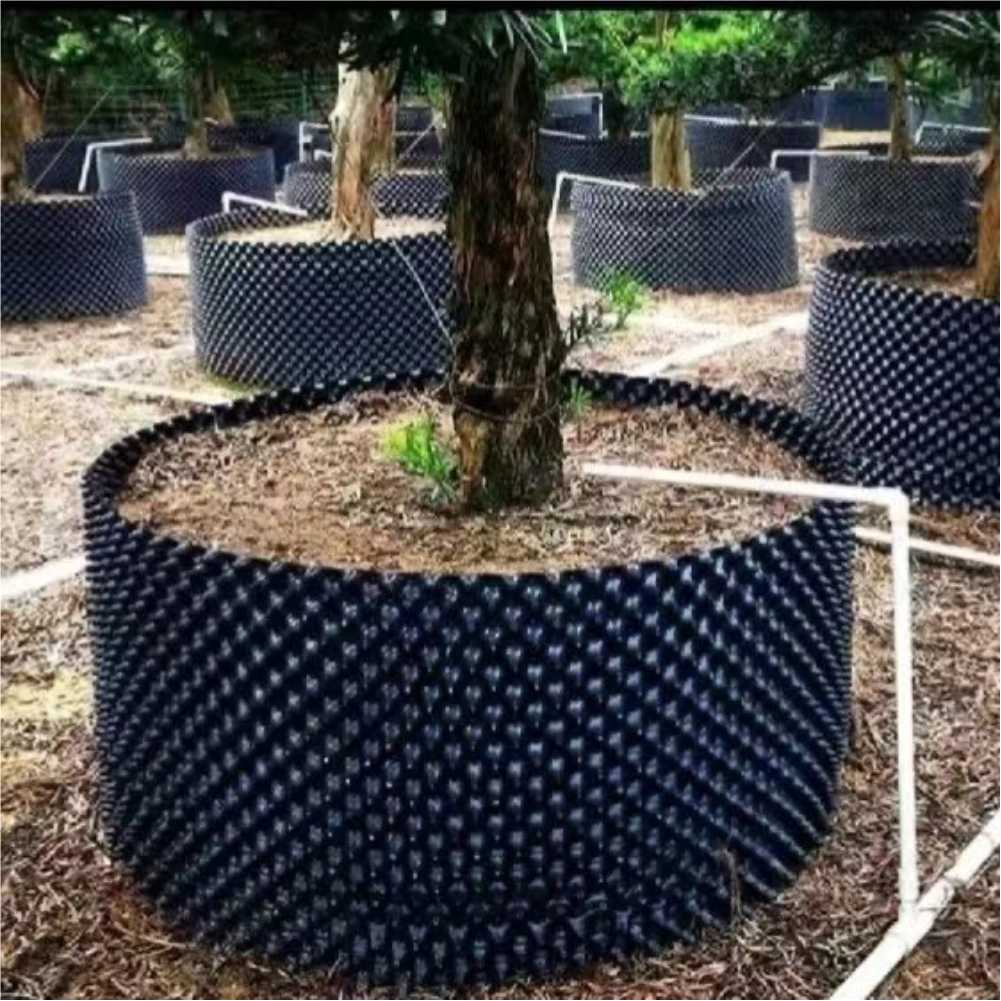 Outdoor Furniture In - Grow Container Garden Tree Bonsai Transplant