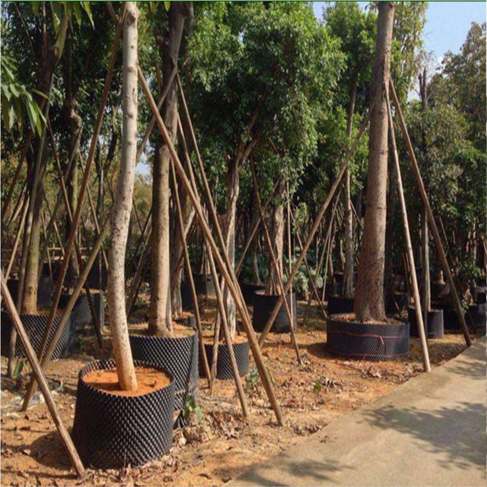Grow Container Garden Tree Bon - Outdoor Furniture In incelemesi ve fiyatı